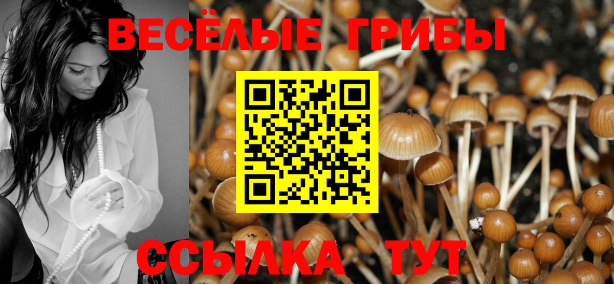Томск  Псилоцибиновые грибы мухоморы  Вход с VPN 