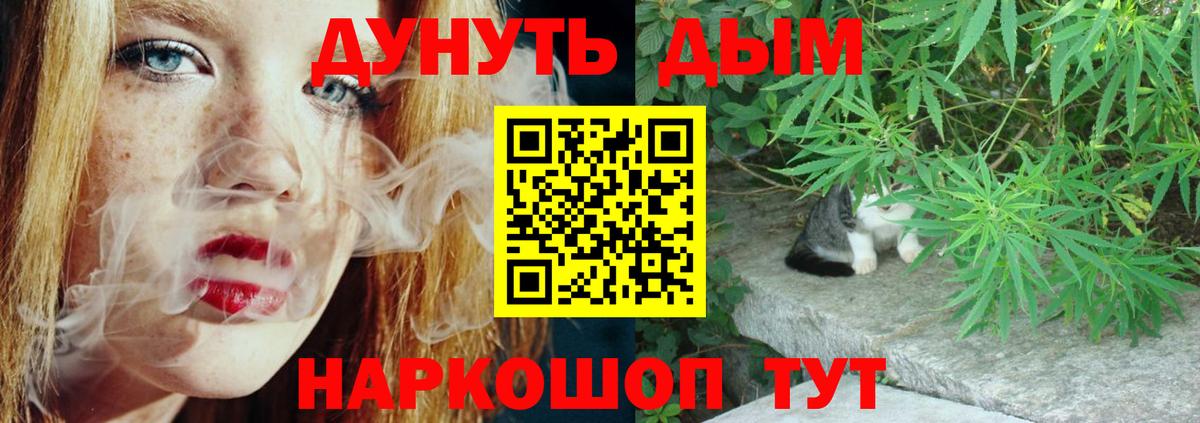 Конопля индика Томск